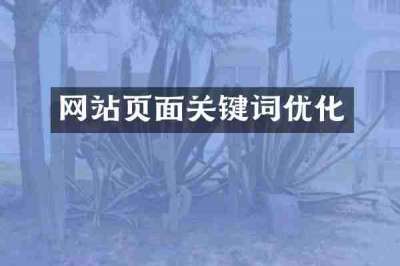 网站页面关键词优化