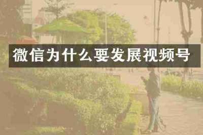 微信为什么要发展视频号