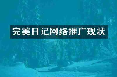 完美日记网络推广现状