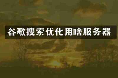 谷歌搜索优化用啥服务器