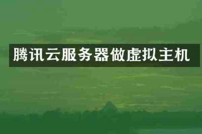 腾讯云服务器做虚拟主机