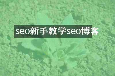 seo新手教学seo博客