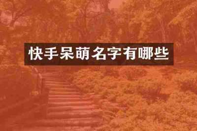 快手呆萌名字有哪些
