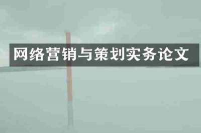 网络营销与策划实务论文