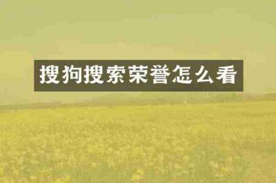 搜狗搜索荣誉怎么看