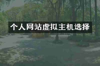 个人网站虚拟主机选择