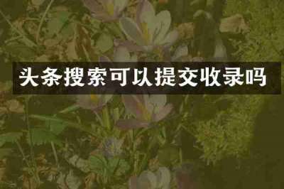 头条搜索可以提交收录吗