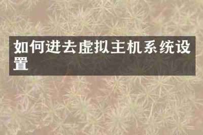 如何进去虚拟主机系统设置