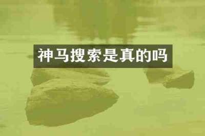神马搜索是真的吗