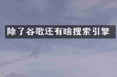 除了谷歌还有啥搜索引擎