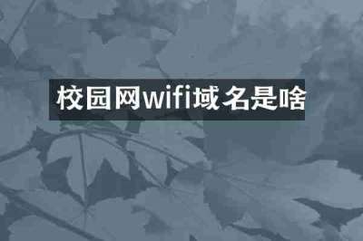 校园网wifi域名是啥