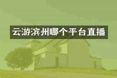 云游滨州哪个平台直播