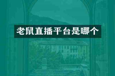 老鼠直播平台是哪个