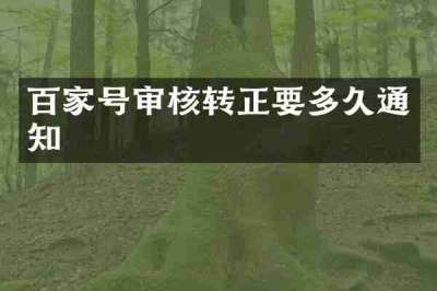 百家号审核转正要多久通知
