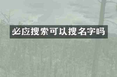 必应搜索可以搜名字吗