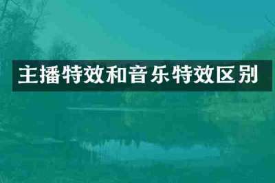 主播特效和音乐特效区别