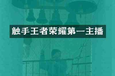 触手王者荣耀第一主播
