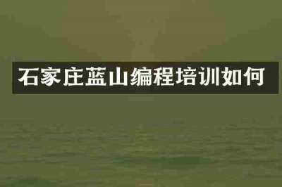 石家庄蓝山编程培训如何