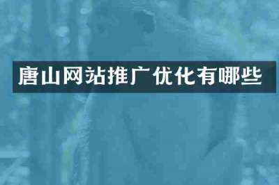 唐山网站推广优化有哪些