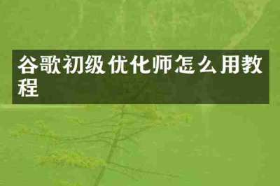 谷歌初级优化师怎么用教程