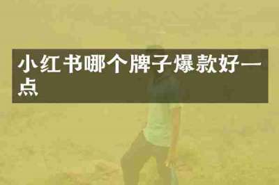 小红书哪个牌子爆款好一点