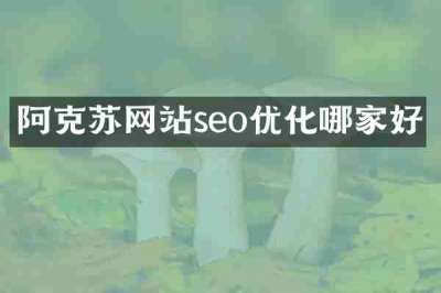 阿克苏网站seo优化哪家好