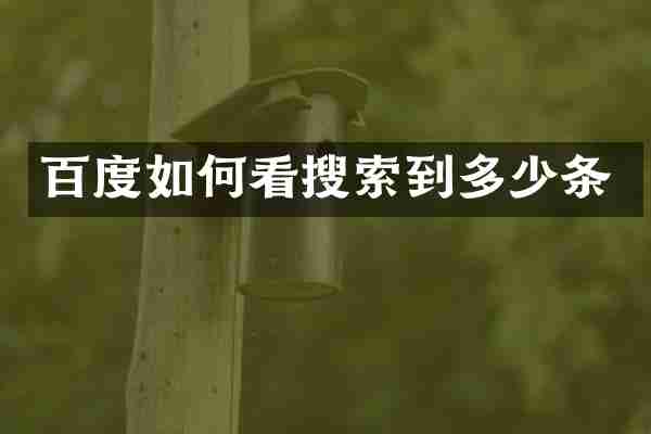 百度如何看搜索到多少条