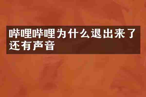 哔哩哔哩为什么退出来了还有声音