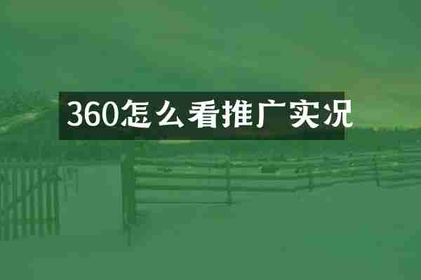 360怎么看推广实况