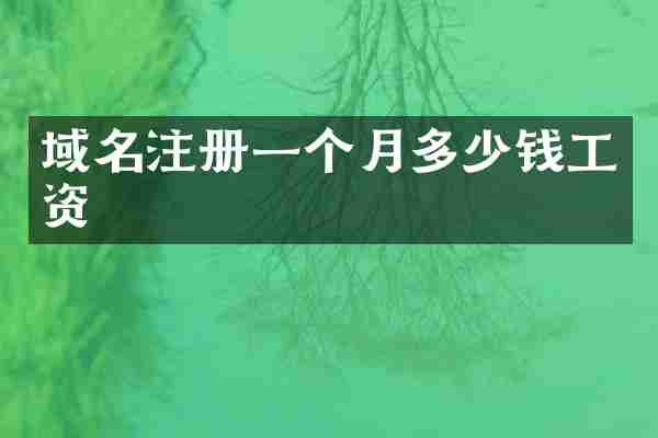 域名注册一个月多少钱工资