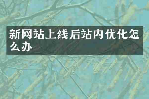 新网站上线后站内优化怎么办