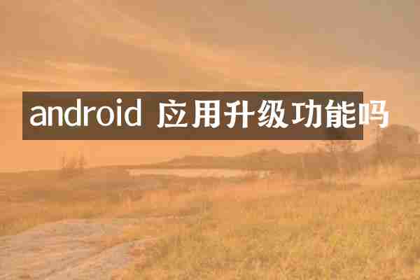 android 应用升级功能吗