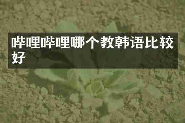 哔哩哔哩哪个教韩语比较好