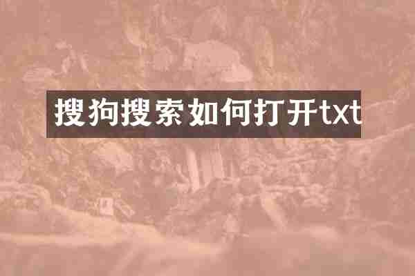 搜狗搜索如何打开txt