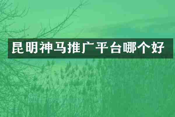 昆明神马推广平台哪个好