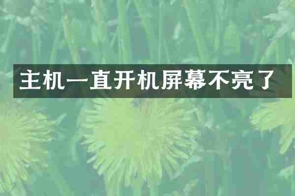 主机一直开机屏幕不亮了