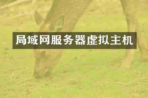 局域网服务器虚拟主机