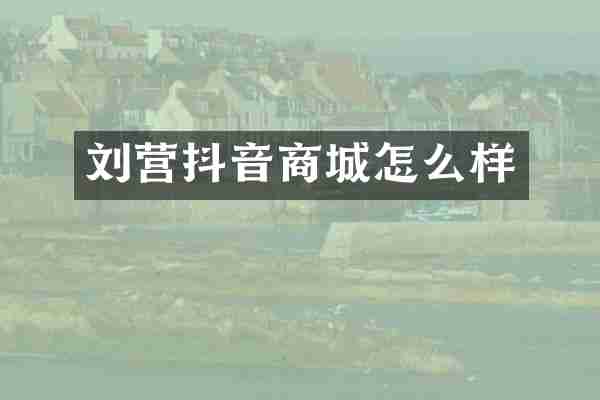 刘营抖音商城怎么样