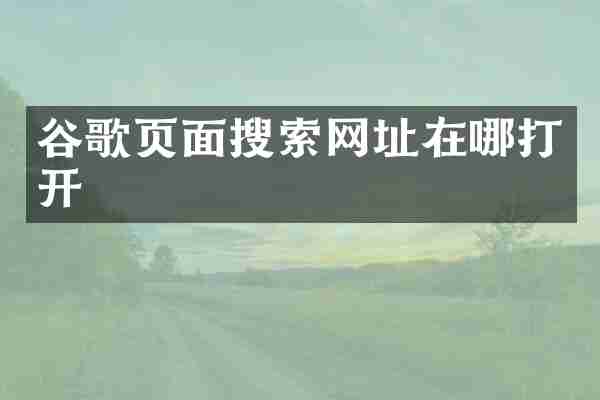 谷歌页面搜索网址在哪打开