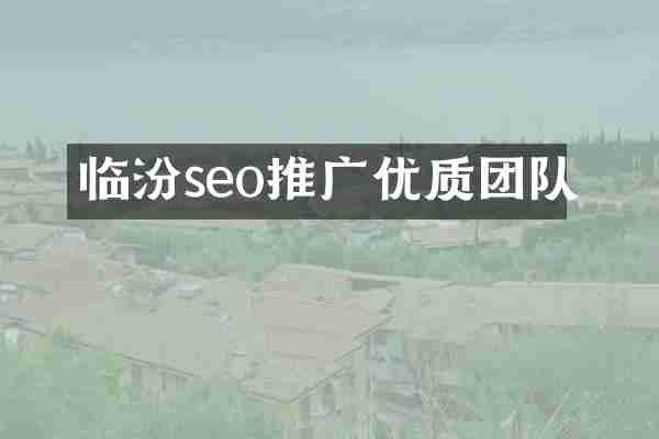 临汾seo推广优质团队