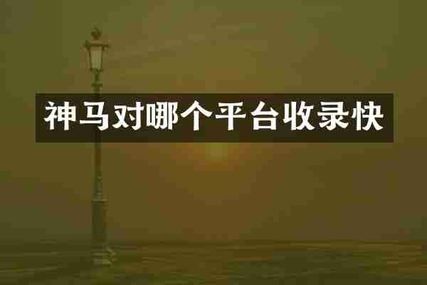 神马对哪个平台收录快