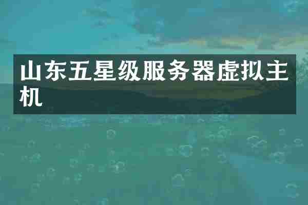 山东五星级服务器虚拟主机