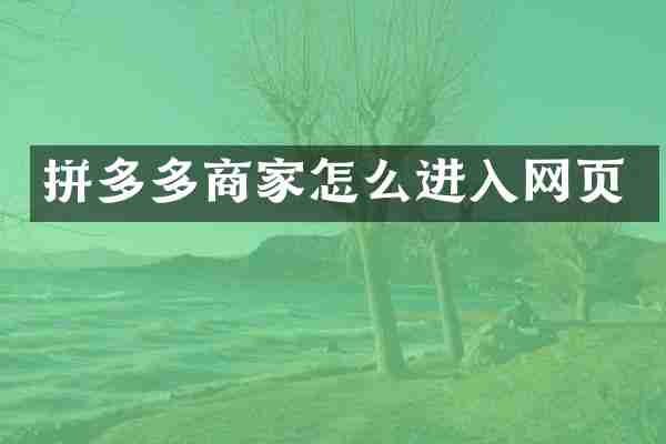 拼多多商家怎么进入网页