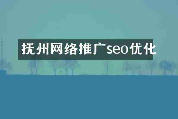 抚州网络推广seo优化