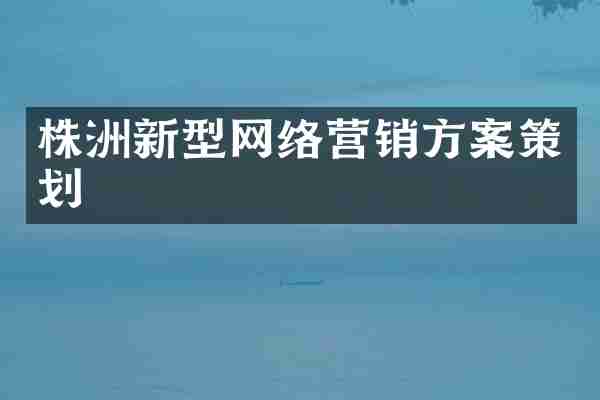 株洲新型网络营销方案策划