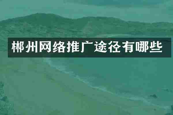 郴州网络推广途径有哪些