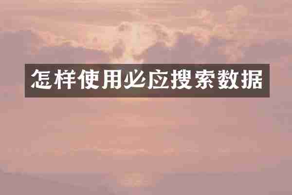 怎样使用必应搜索数据