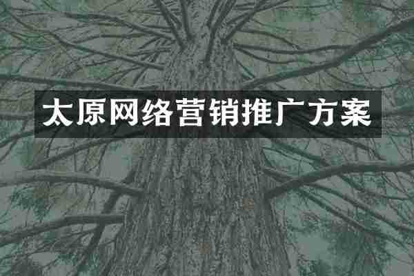 太原网络营销推广方案