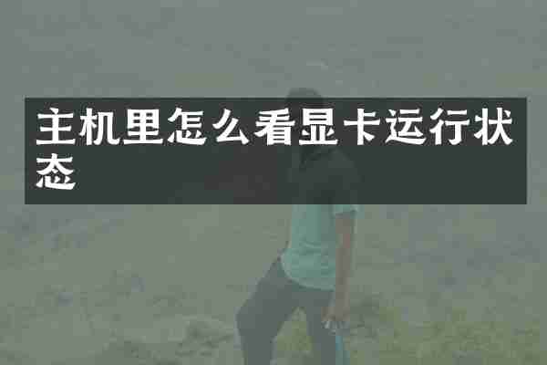 主机里怎么看显卡运行状态