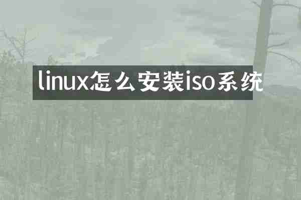linux怎么安装iso系统